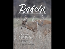 November 2025 Edition