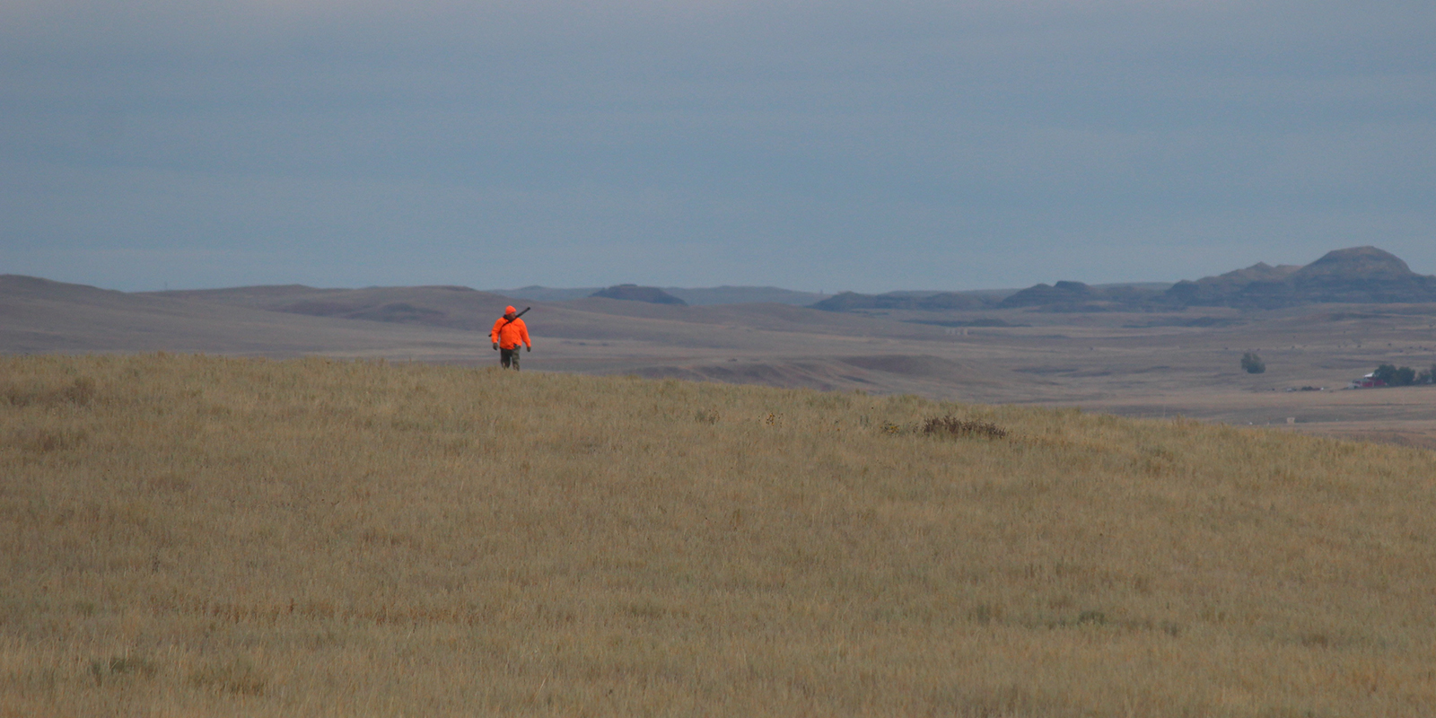 Hunter Wearing Orange SW ND