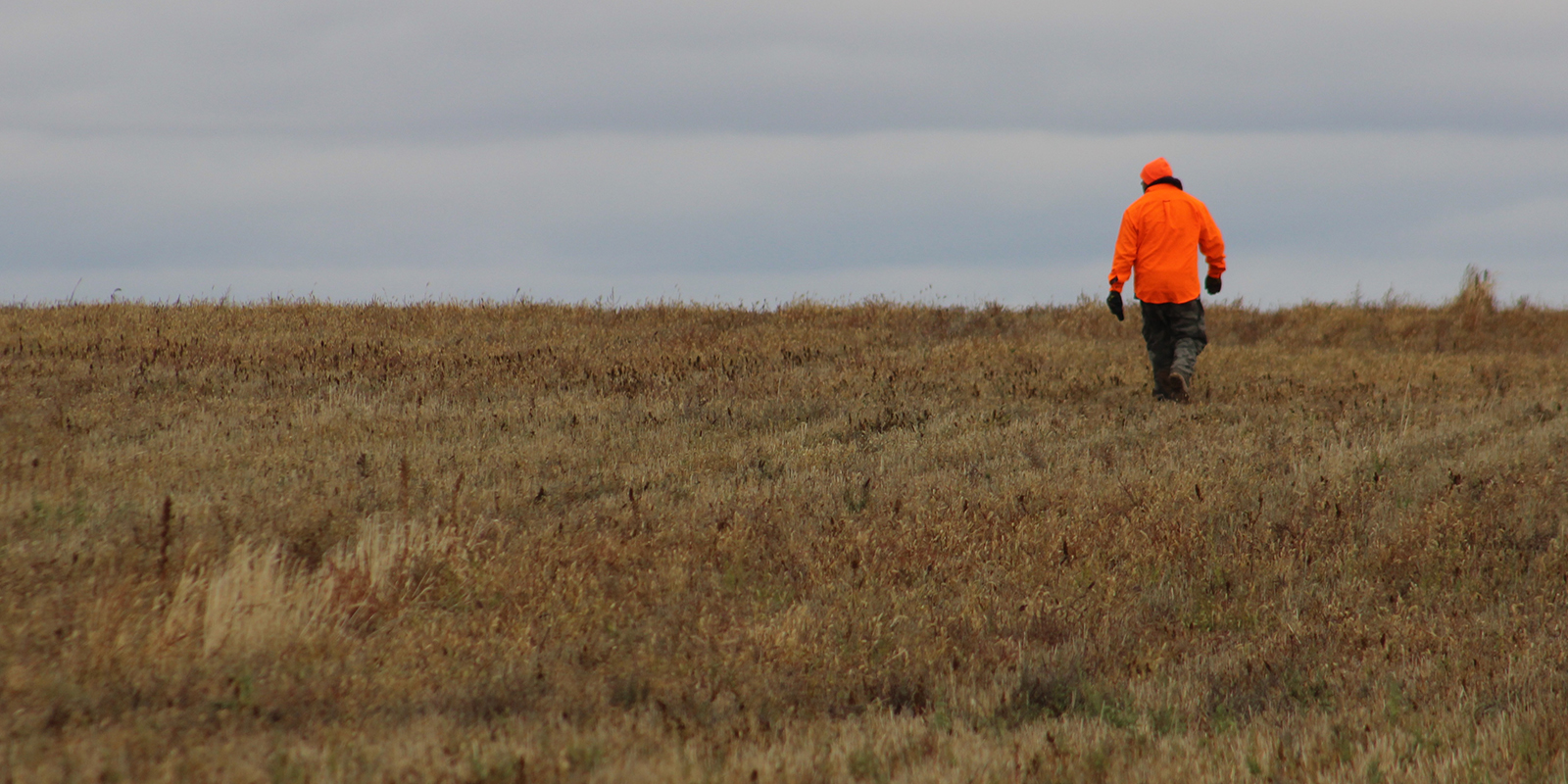 Hunter Wearing Orange Walking