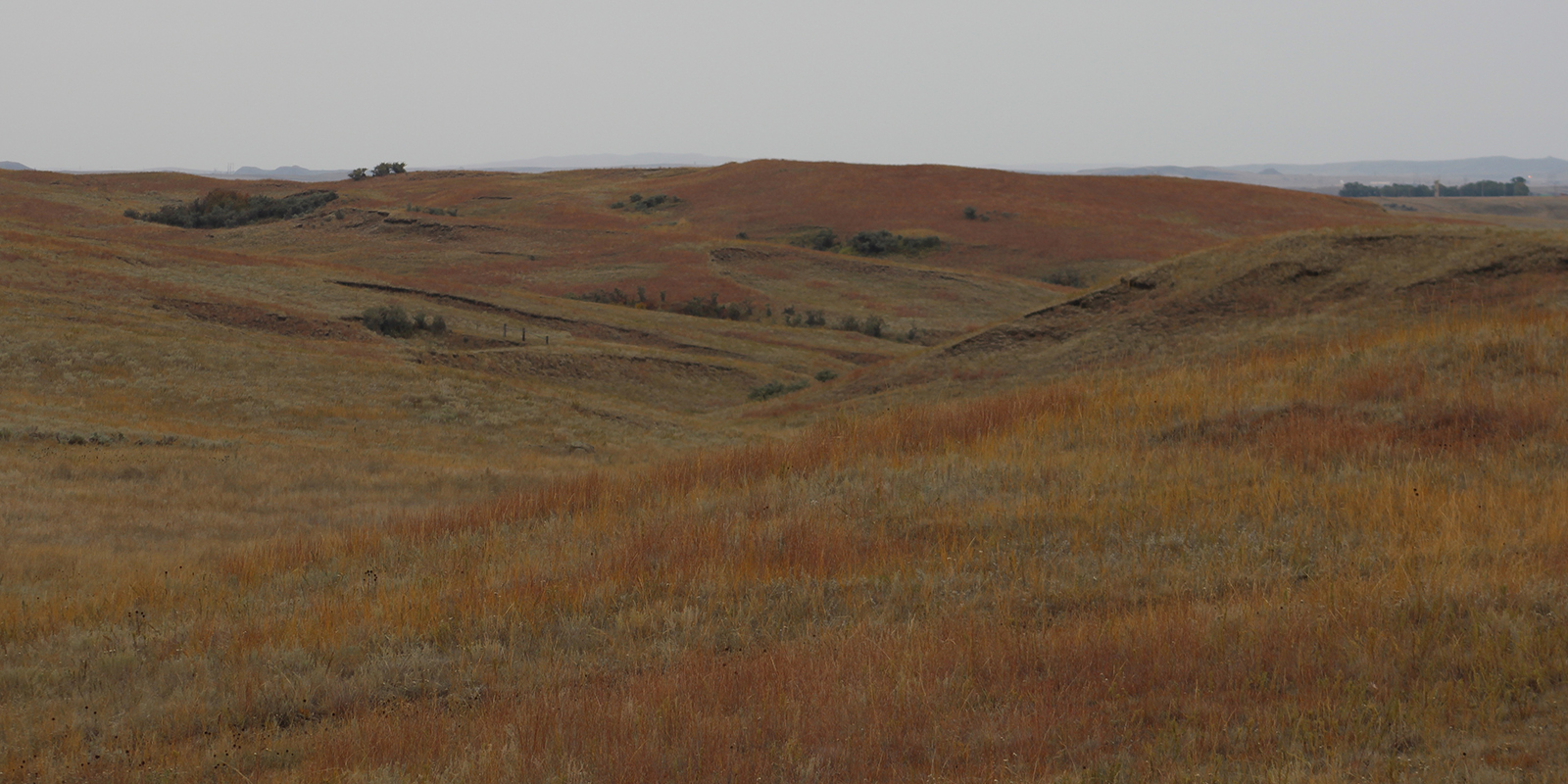 ND Grasslands Fall 2018